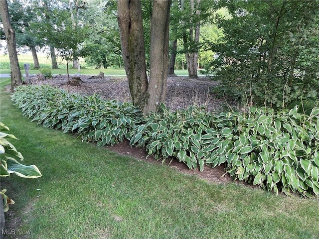 5001 S Jefferson Rd, Shreve, OH 44676 - photo 49