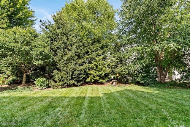 7028 Emerald Cove Ave NW, Canal Fulton, OH 44614 - photo 32