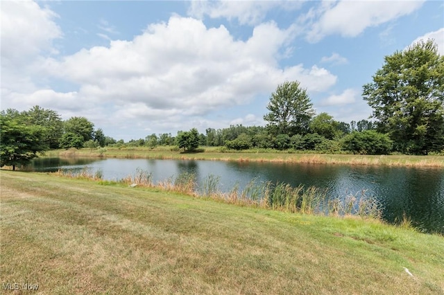 36318 Thornbury St, North Ridgeville, OH 44039 - photo 47