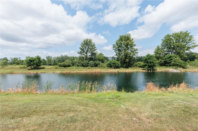 36318 Thornbury St, North Ridgeville, OH 44039 - photo 48
