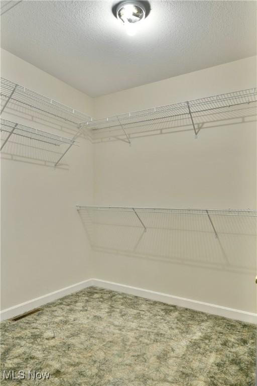 2669 Edgewater Dr, Cortland, OH 44410 - photo 23