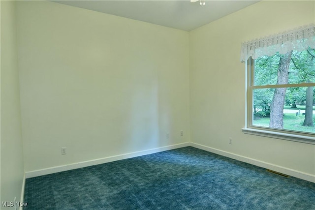 2669 Edgewater Dr, Cortland, OH 44410 - photo 34
