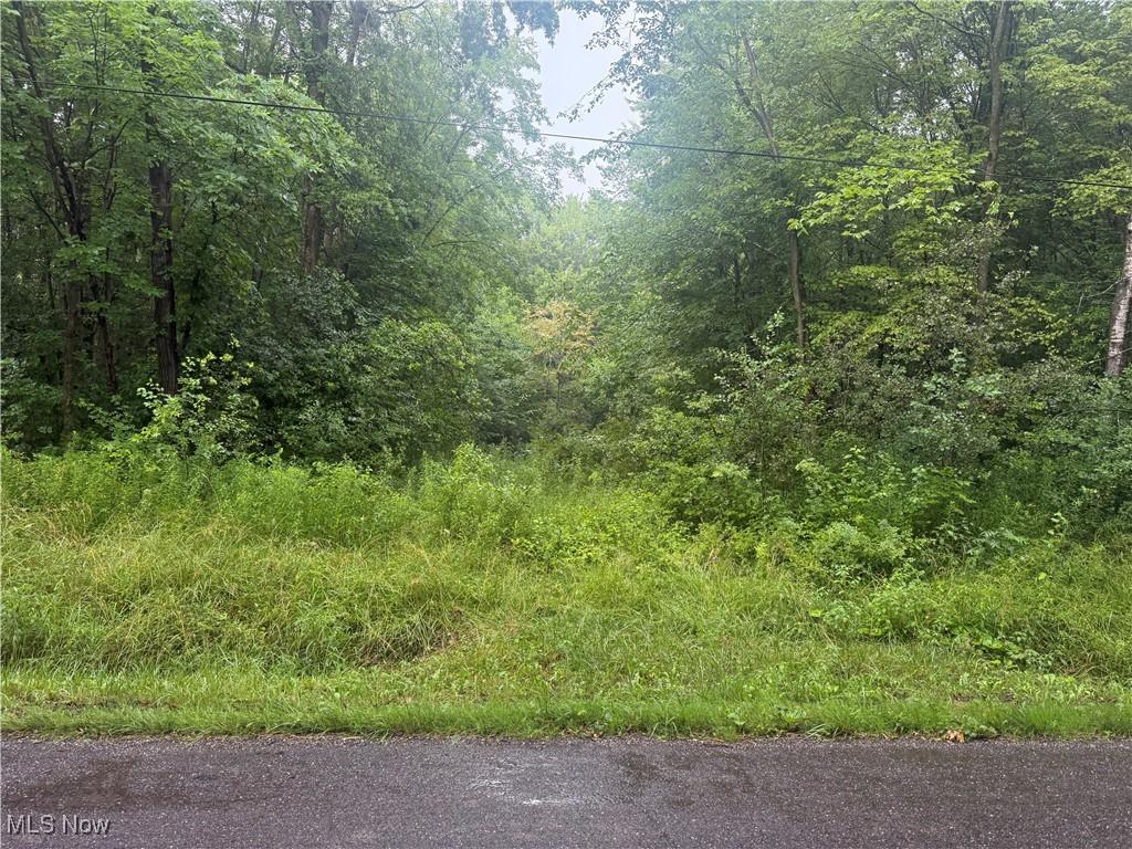 Mahan Denman Rd NE, Bristolville, OH 44402 - photo 1