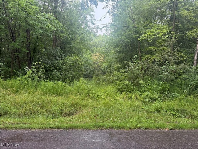 Mahan Denman Rd NE, Bristolville, OH 44402 - photo 1