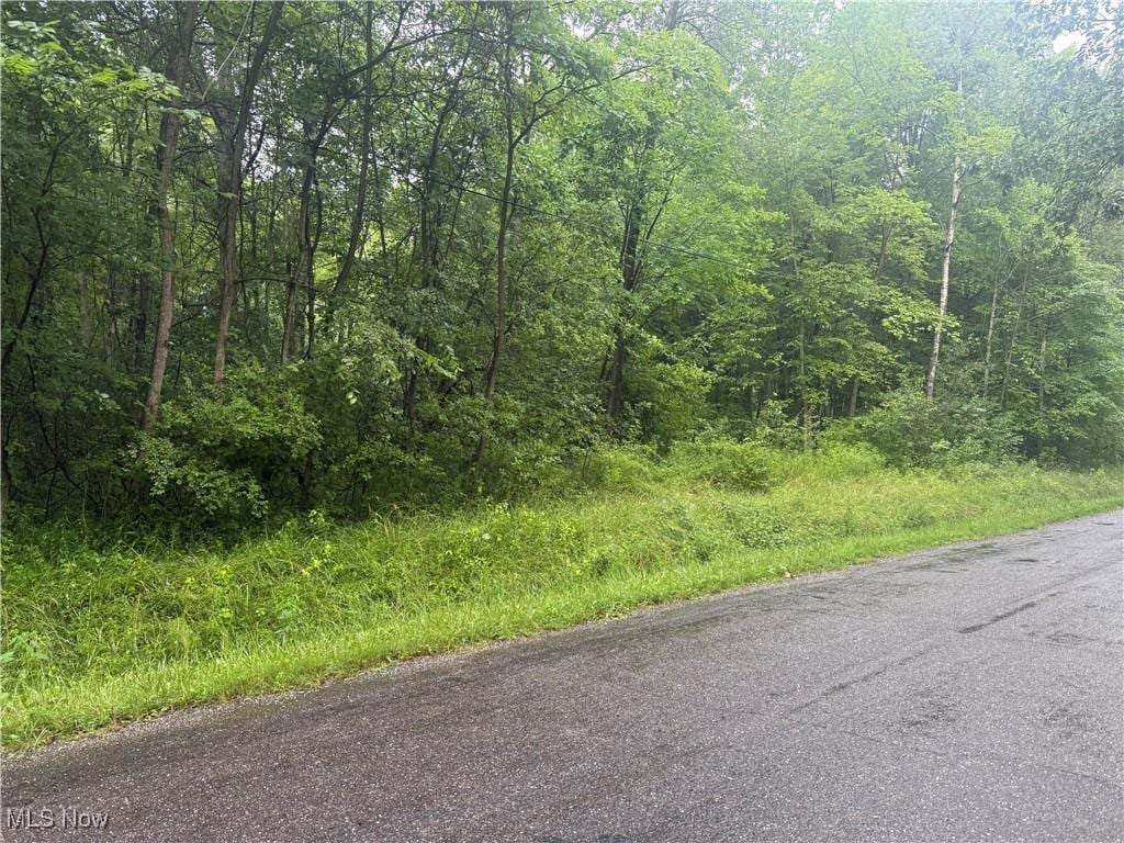 Mahan Denman Rd NE, Bristolville, OH 44402 - photo 2
