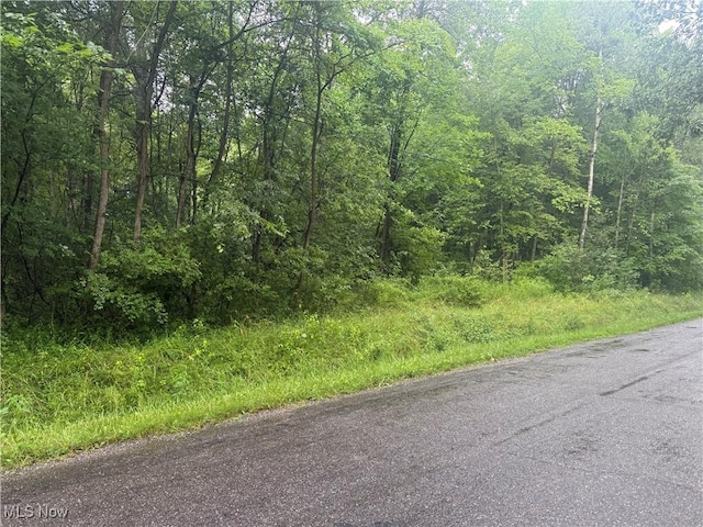 Mahan Denman Rd NE, Bristolville, OH 44402 - photo 2