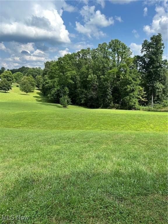 45178 Henthorn Rd, Woodsfield, OH 43793 - photo 12