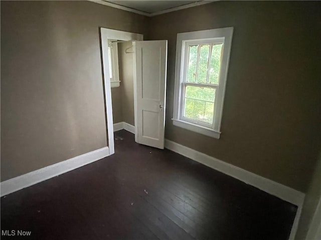 810 Fess Ave, Akron, OH 44307 - photo 16
