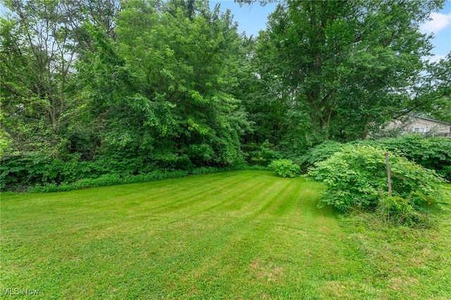 42 S Four Mile Run Rd, Youngstown, OH 44515 - photo 16