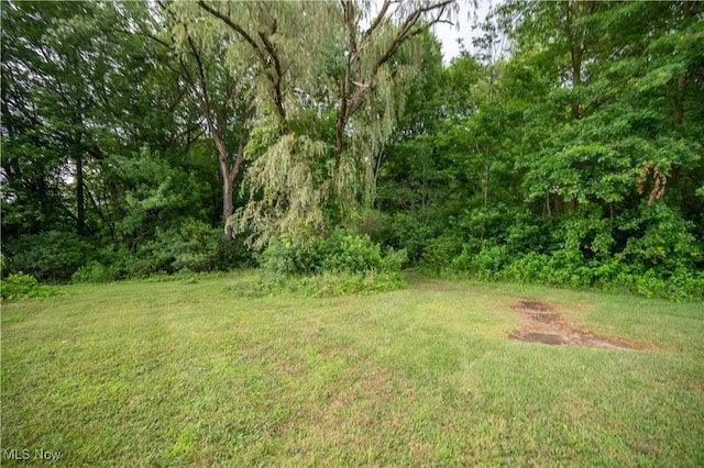422 Driftwood Ave, North Benton, OH 44449 - photo 22
