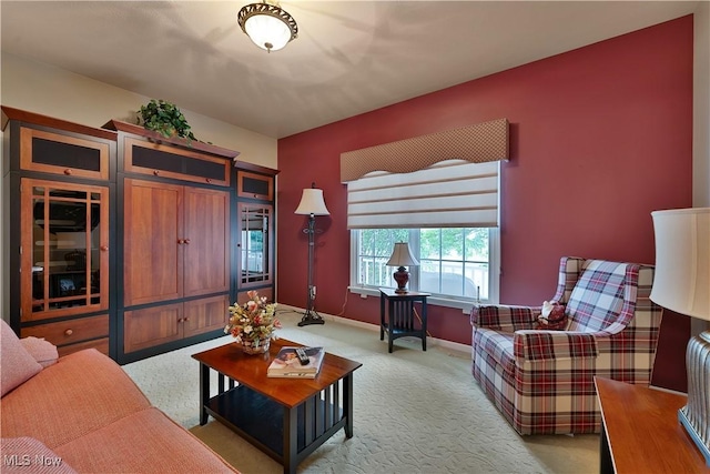 8 Hedgerow Pl, New Middletown, OH 44442 - photo 21