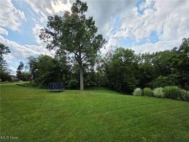 223 46th St SW, Canton, OH 44706 - photo 7