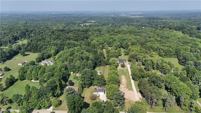 849 Parker Rd, Aurora, OH 44202 - photo 39