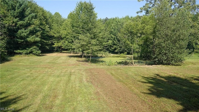 849 Parker Rd, Aurora, OH 44202 - photo 32