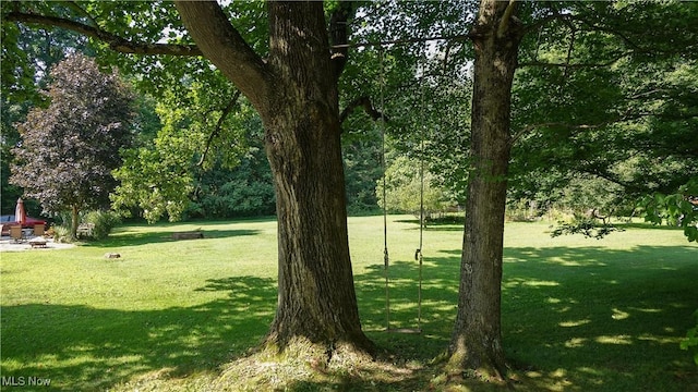 849 Parker Rd, Aurora, OH 44202 - photo 28