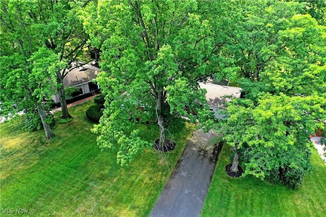225 Sleepy Hollow Dr, Canfield, OH 44406 - photo 3
