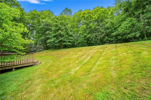 2885 Valley Rd, Cuyahoga Falls, OH 44223 - photo 31