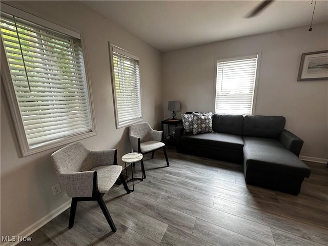 1338 Ormond Ave, Madison, OH 44057 - photo 8