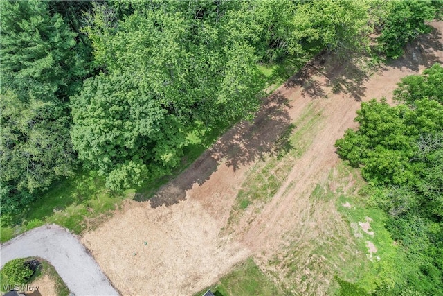 5589 Breezewood Dr NE, Canton, OH 44705 - photo 27