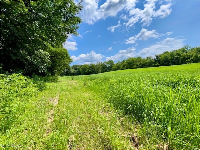 70810 Angus Rd, Kimbolton, OH 43725 - photo 2