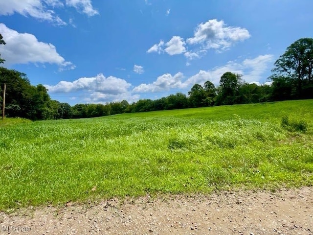 70810 Angus Rd, Kimbolton, OH 43725 - photo 4