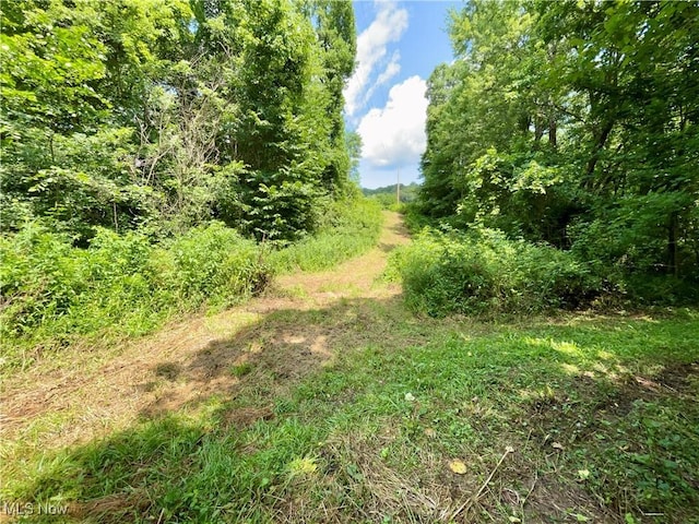 70810 Angus Rd, Kimbolton, OH 43725 - photo 10