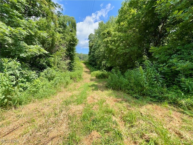 70810 Angus Rd, Kimbolton, OH 43725 - photo 11