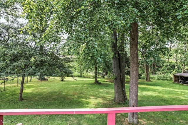 706 Laurelwood, Warren, OH 44484 - photo 36
