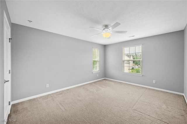 487 N Ashwood Ln, Painesville, OH 44077 - photo 33