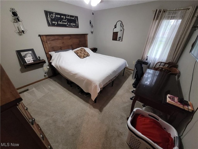 455 Stallion Ct, Lagrange, OH 44050 - photo 10