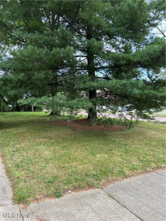 11406 Bellaire Rd, Cleveland, OH 44111 - photo 28