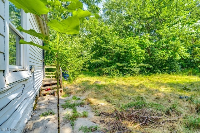 12104 Revere Ave, Cleveland, OH 44105 - photo 20