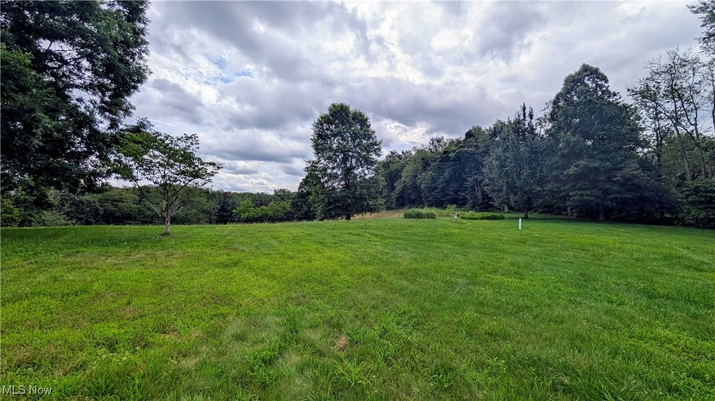 44007 Lew Jan Dr, Belmont, OH 43718 - photo 3