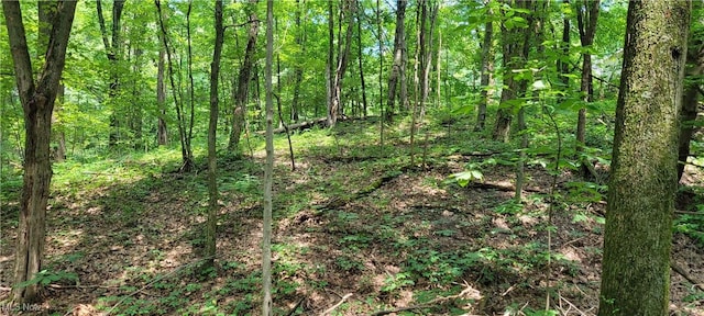 4343 Oak Ridge Rd NW, Sugarcreek, OH 44681 - photo 45