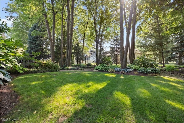 131 Bryan Ct, Elyria, OH 44035 - photo 50