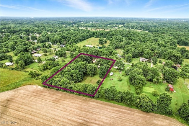 3490 Durst Clagg Rd, Cortland, OH 44410 - photo 48