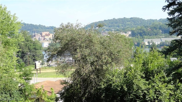 108 Linger Dr, Chester, WV 26034 - photo 3