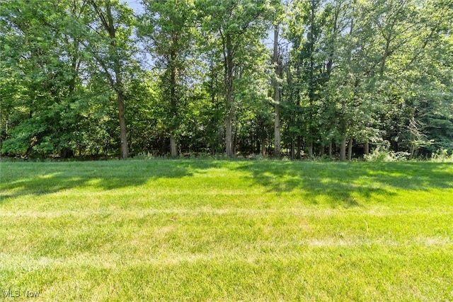 1146 Fox Run, Grafton, OH 44044 - photo 19