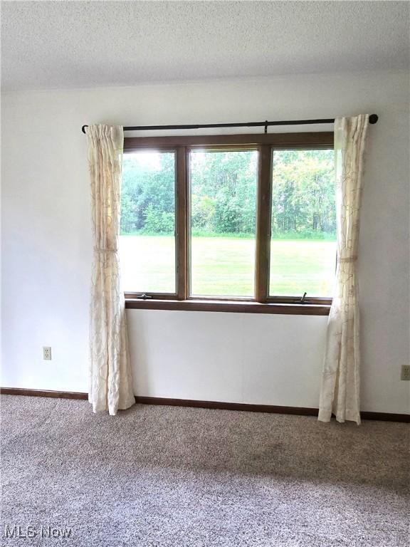 4112 Swanson Blvd Unit 48, Wooster, OH 44691 - photo 11