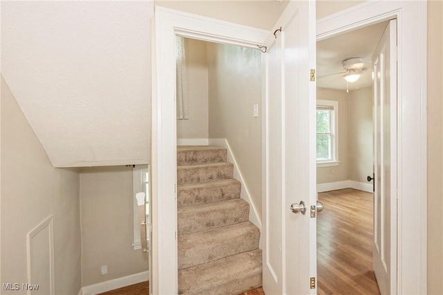 3366 Clarendon Rd, Cleveland Heights, OH 44118 - photo 33