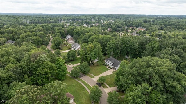 35855 Spicebush Ln, Solon, OH 44139 - photo 48