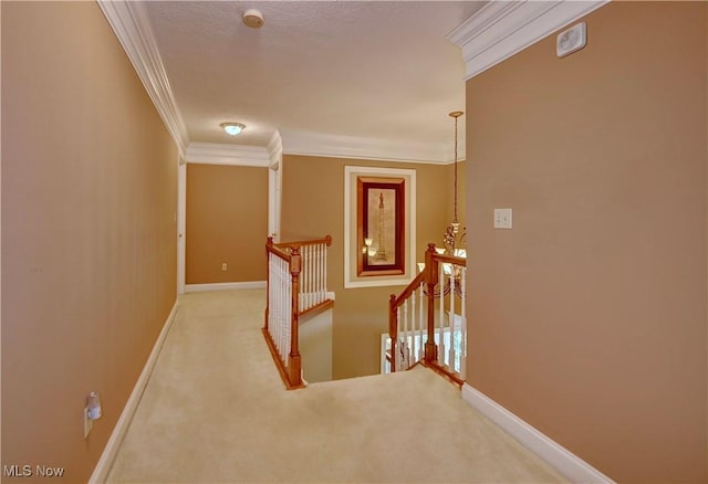 2638 Deer Ridge Run, Cuyahoga Falls, OH 44223 - photo 22