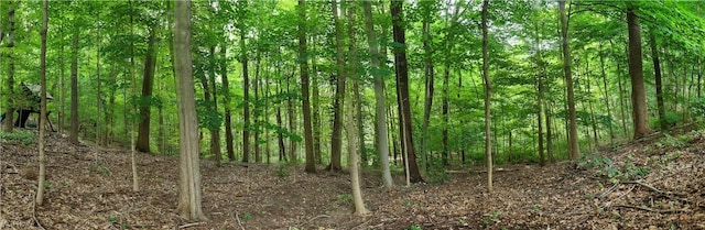 2638 Deer Ridge Run, Cuyahoga Falls, OH 44223 - photo 48