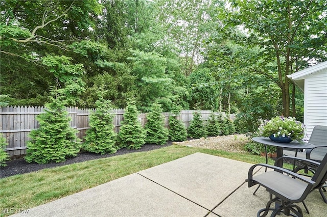 2088 Jennifer St, Akron, OH 44313 - photo 3