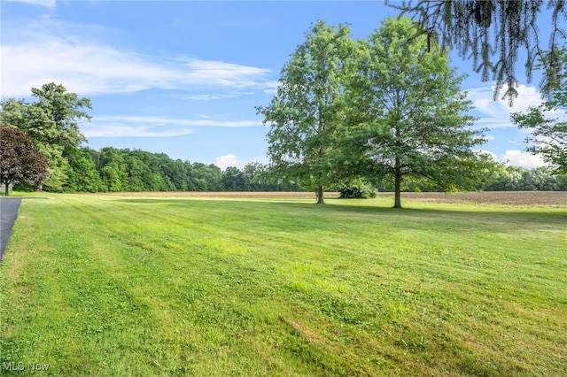 11167 Lair Rd NE, Alliance, OH 44601 - photo 29