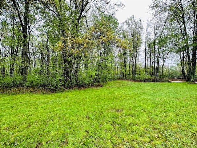 4129 Kincaid E Rd NW, Warren, OH 44481 - photo 11