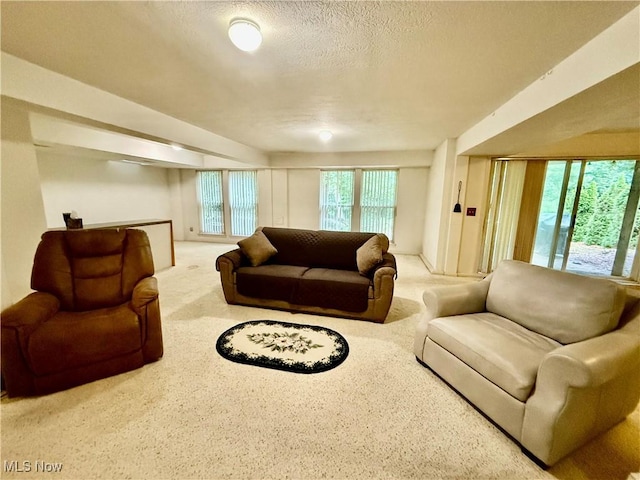 8651 Pine Creek Ln, Sagamore Hills, OH 44067 - photo 25