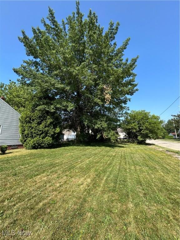 4259 E 162nd St, Cleveland, OH 44128 - photo 3