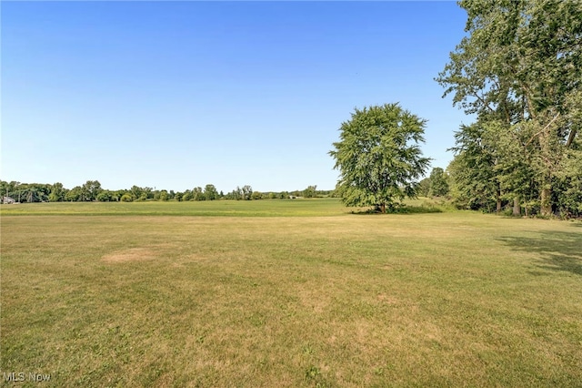 9373 Murray Ridge Rd, Elyria, OH 44035 - photo 47
