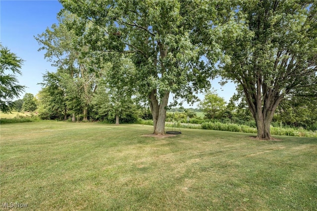 9373 Murray Ridge Rd, Elyria, OH 44035 - photo 48